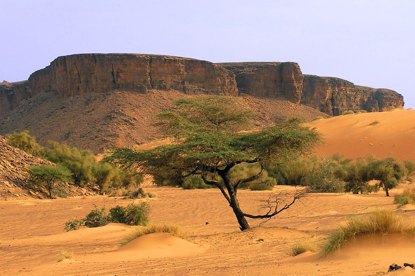 استكشاف جمال موريتانيا: رحلة عبر الصحراء الكبرى