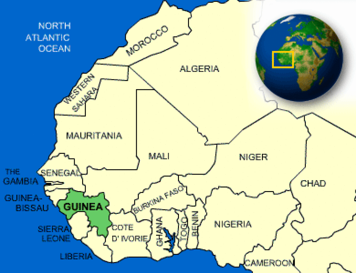 استكشاف الثقافة الغنية وتاريخ غينيا